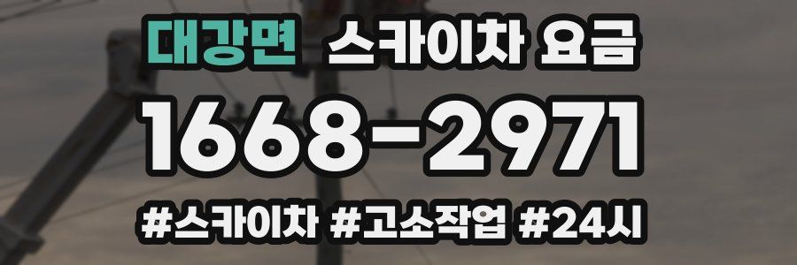 대강면 스카이차 요금