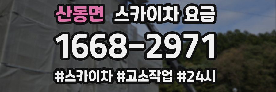 산동면 스카이차 요금