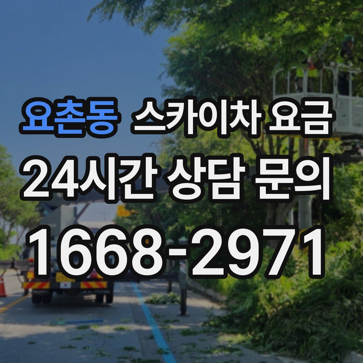 요촌동 스카이차 요금