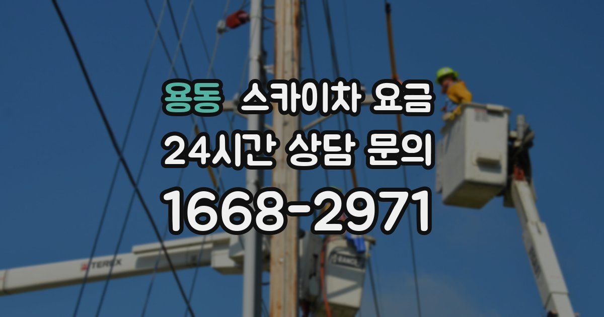 용동 스카이차 요금