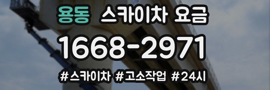 용동 스카이차 요금