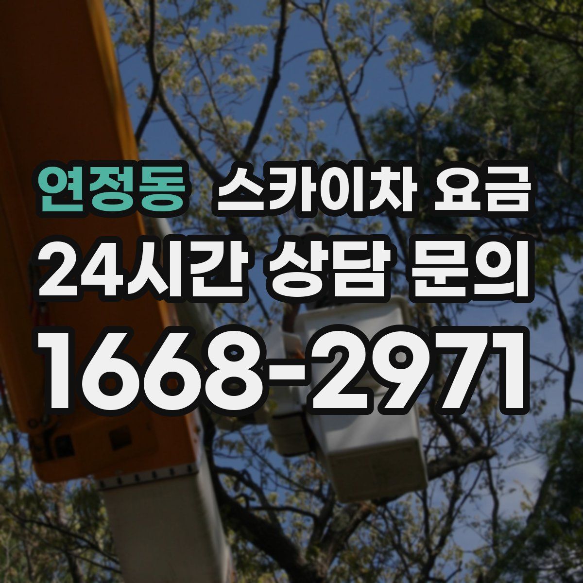 연정동 스카이차 요금