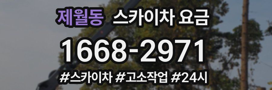 제월동 스카이차 요금