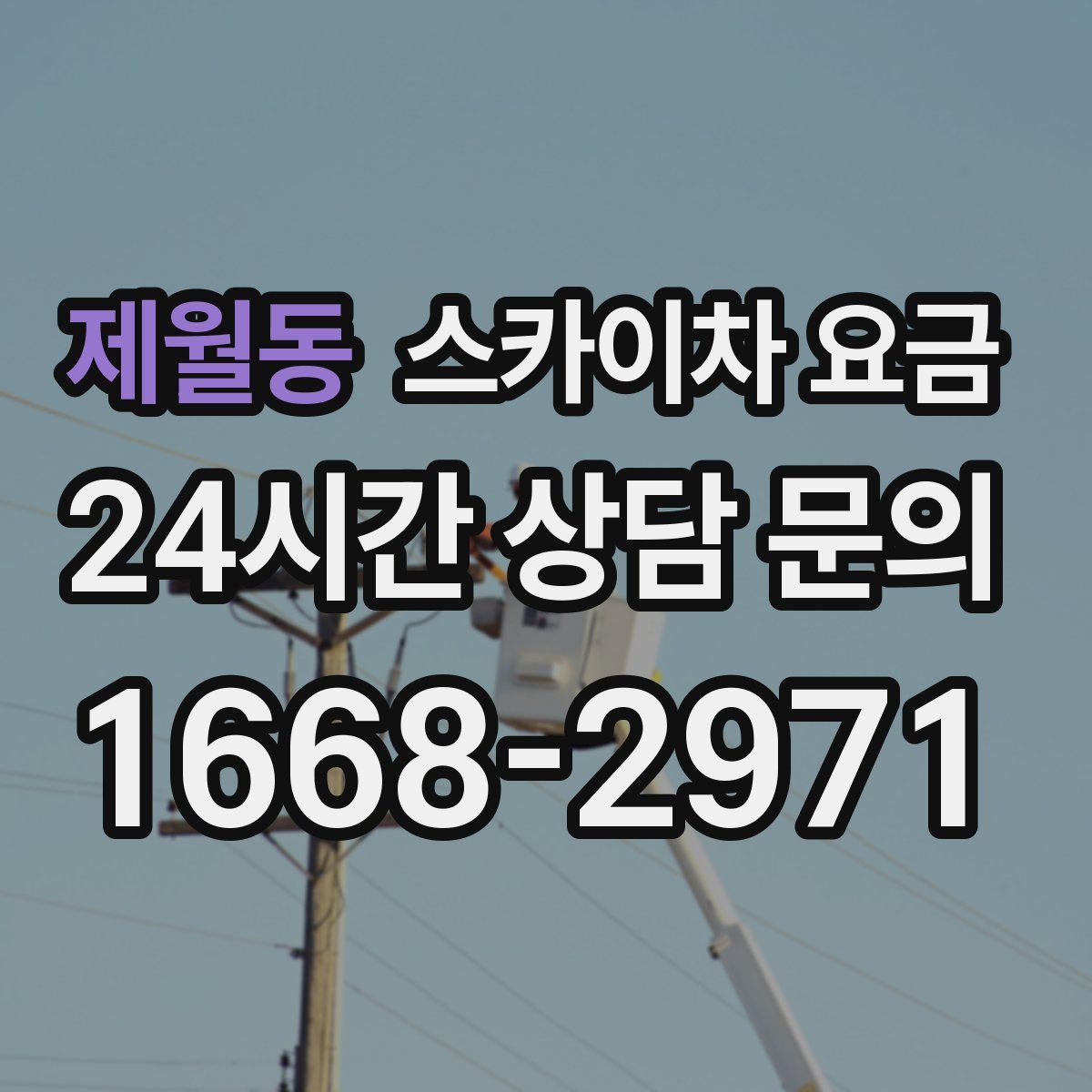 제월동 스카이차 요금