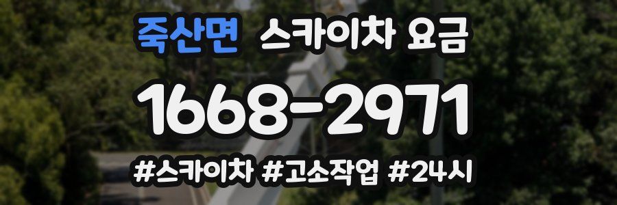 죽산면 스카이차 요금