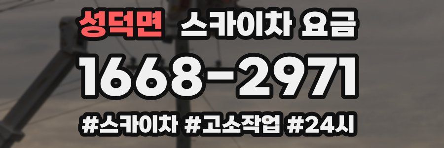 성덕면 스카이차 요금