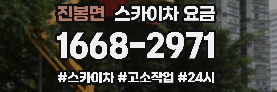 진봉면 스카이차 요금