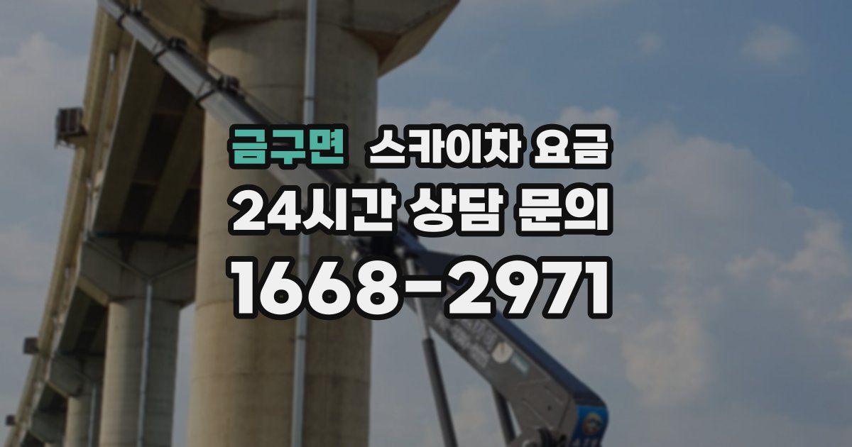 금구면 스카이차 요금