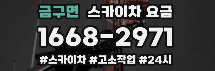 금구면 스카이차 요금