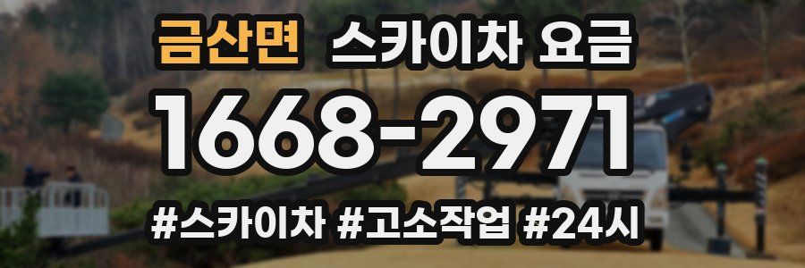 금산면 스카이차 요금