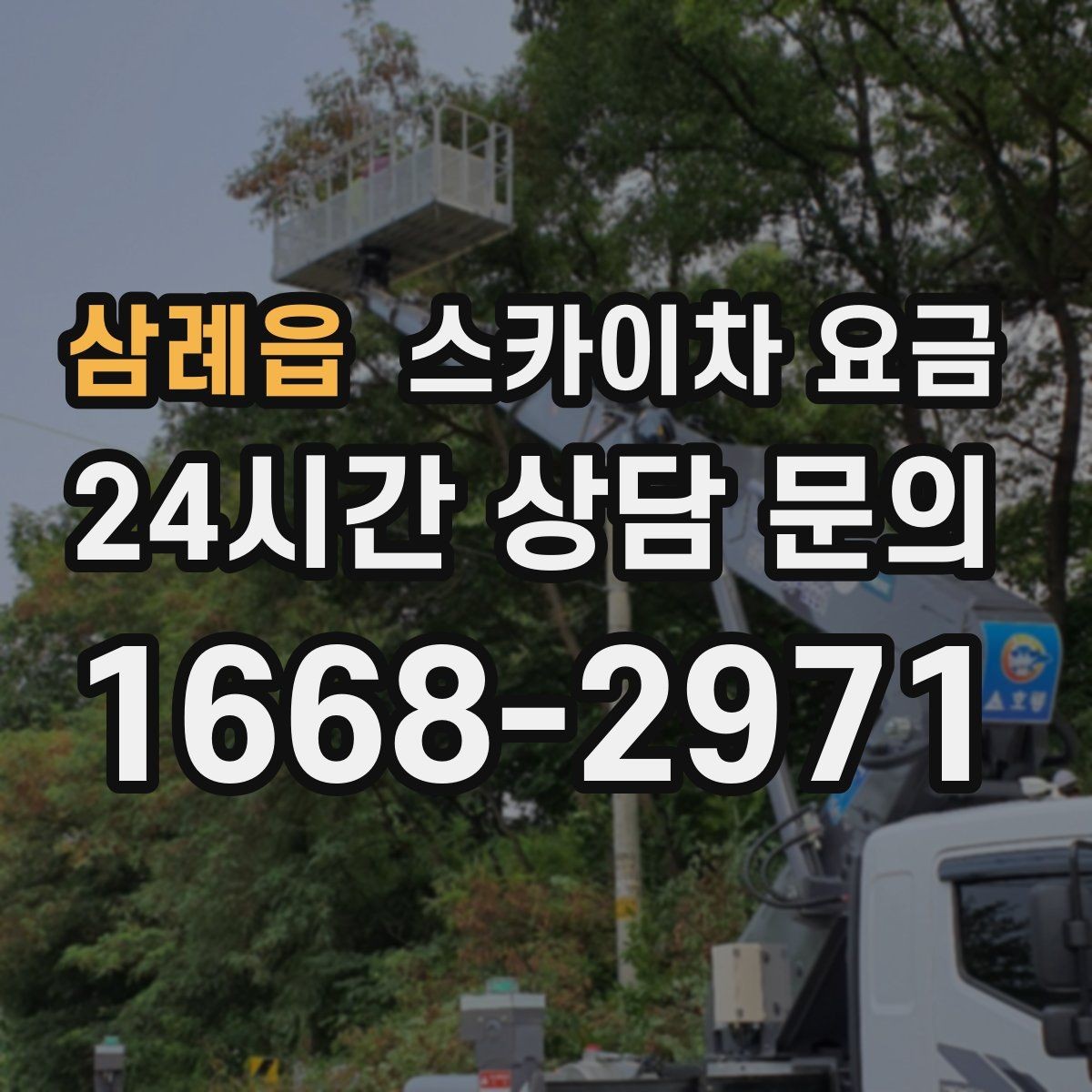 삼례읍 스카이차 요금 '별도' 항목이 무엇인지 꼭 확인하세요