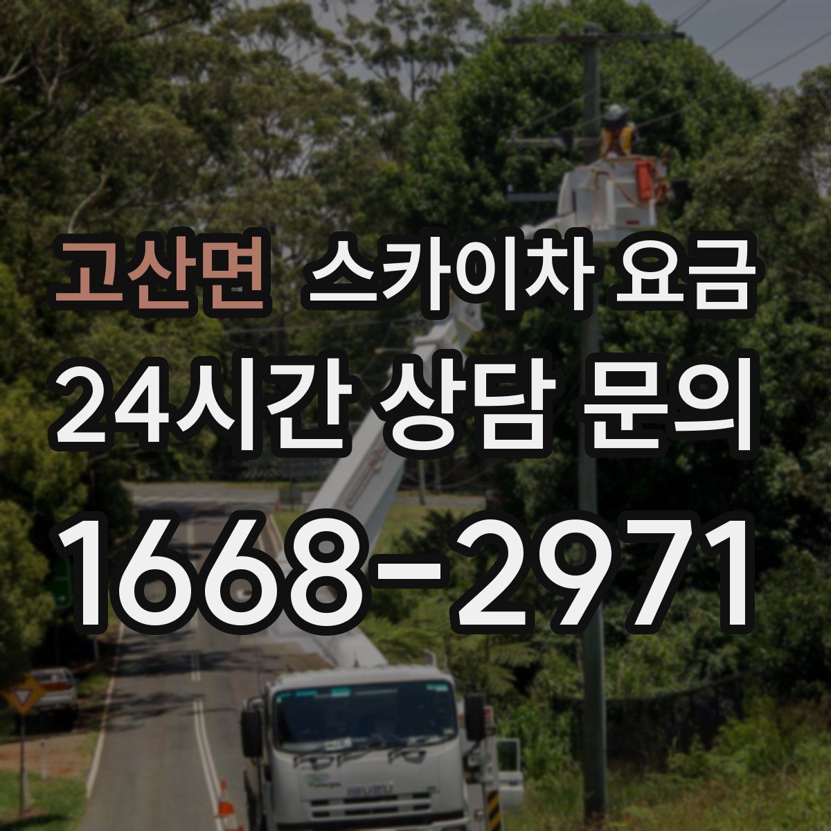 고산면 스카이차 요금