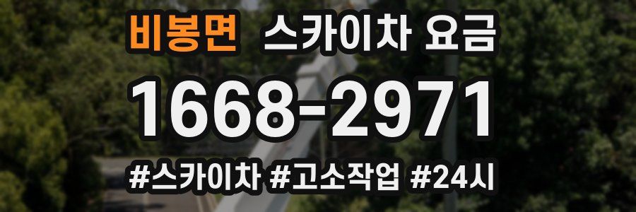 비봉면 스카이차 요금