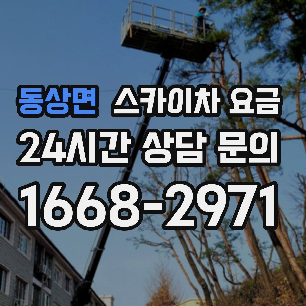 동상면 스카이차 요금 작업 지점 수를 정리하면 견적이 빨라집니다