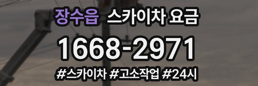 장수읍 스카이차 요금