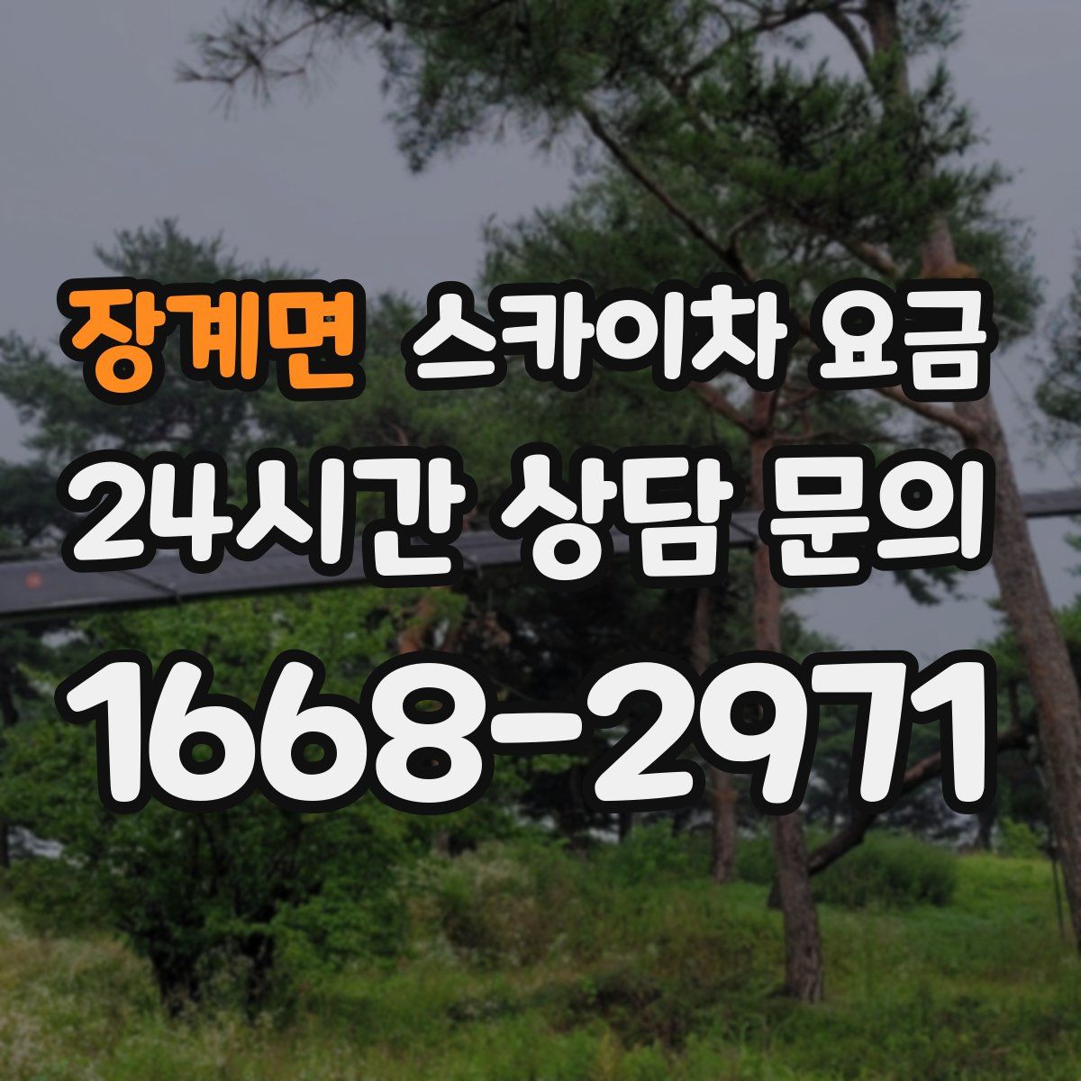 장계면 스카이차 요금