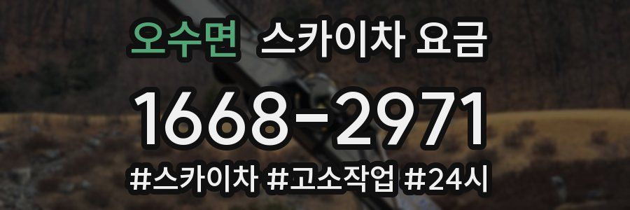 오수면 스카이차 요금