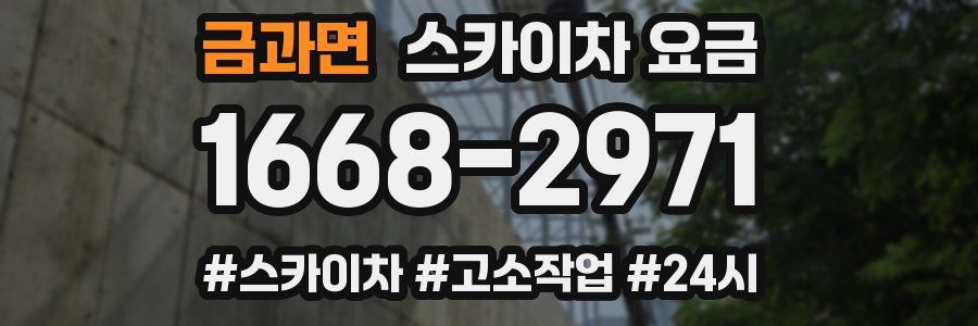 금과면 스카이차 요금