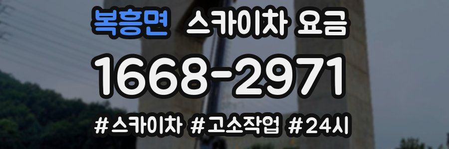 복흥면 스카이차 요금