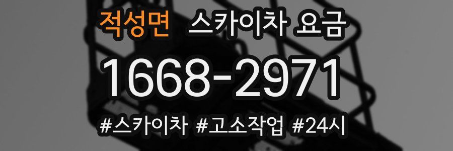 적성면 스카이차 요금