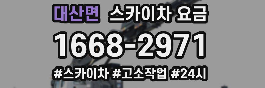 대산면 스카이차 요금