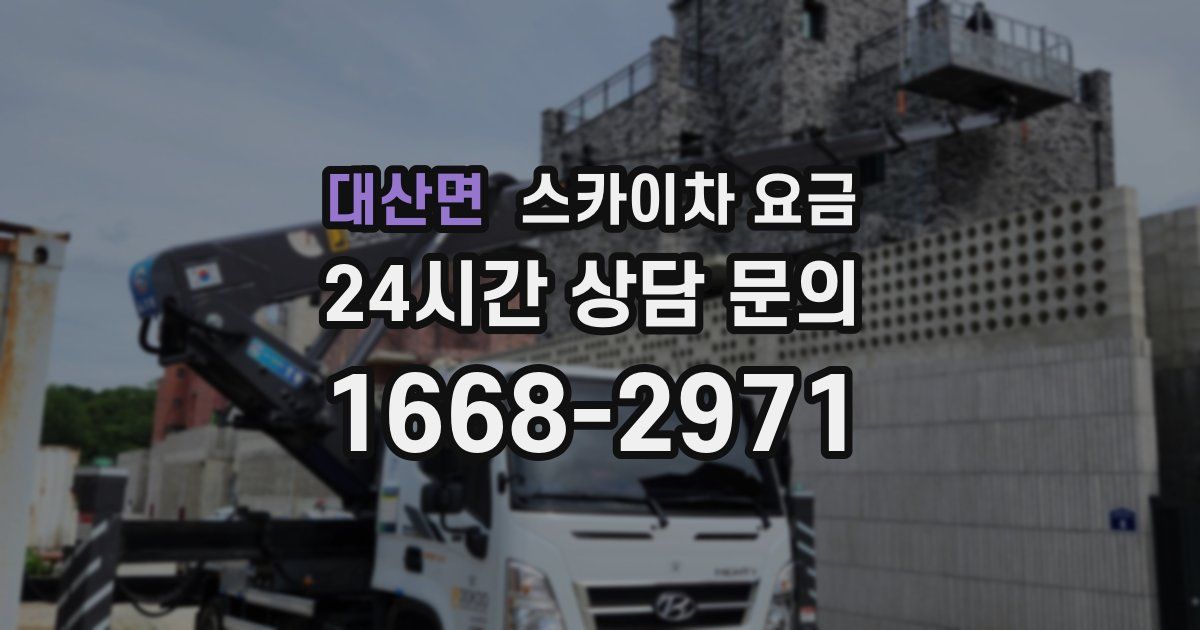 대산면 스카이차 요금