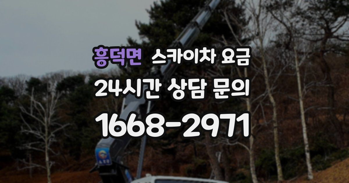 흥덕면 스카이차 요금