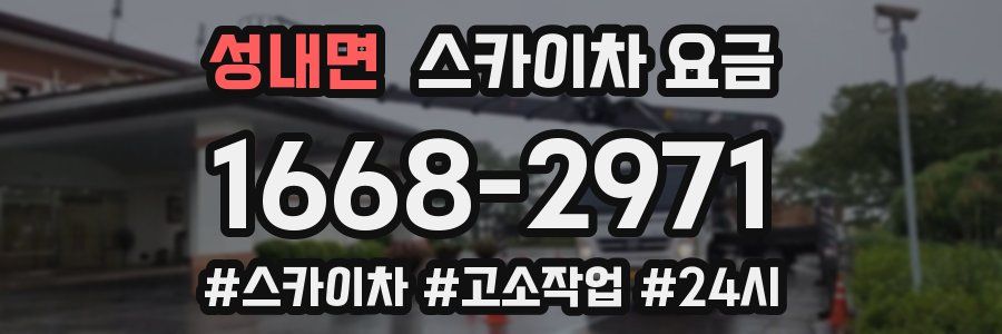 성내면 스카이차 요금