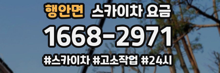 행안면 스카이차 요금