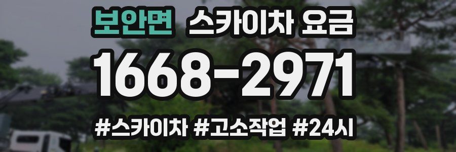 보안면 스카이차 요금