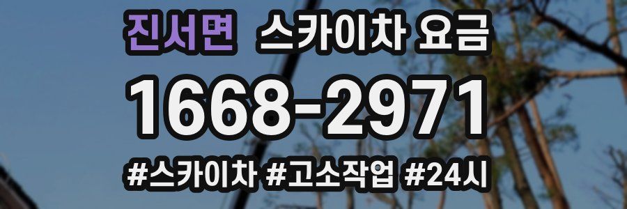 진서면 스카이차 요금