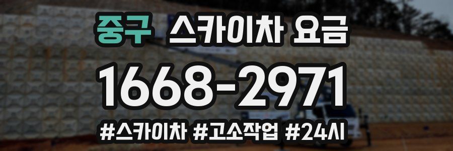 중구 스카이차 요금