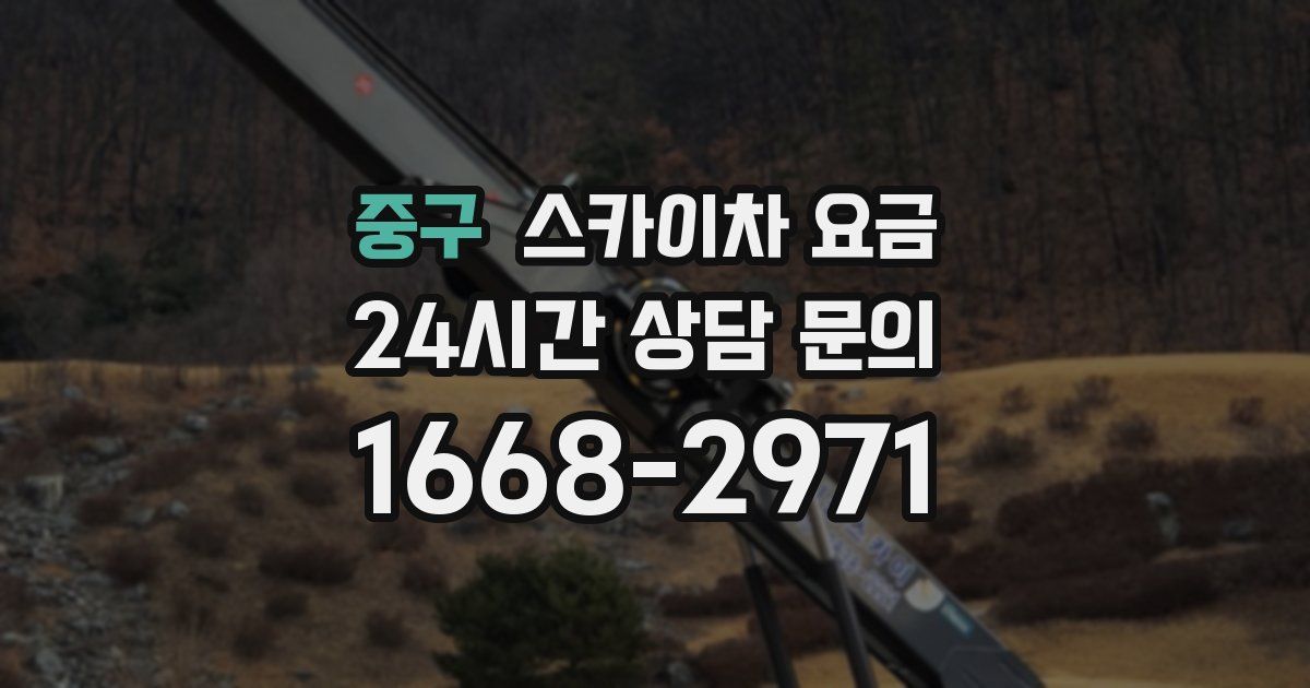 중구 스카이차 요금