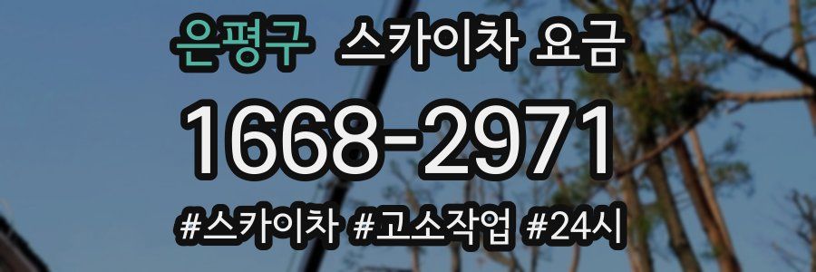 은평구 스카이차 요금