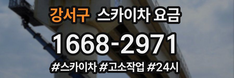 강서구 스카이차 요금