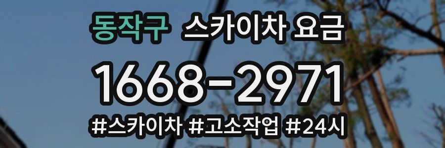동작구 스카이차 요금