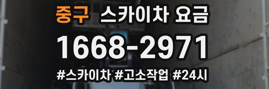 중구 스카이차 요금
