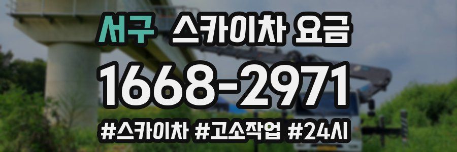 서구 스카이차 요금