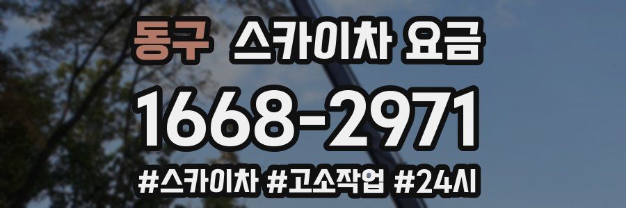 동구 스카이차 요금