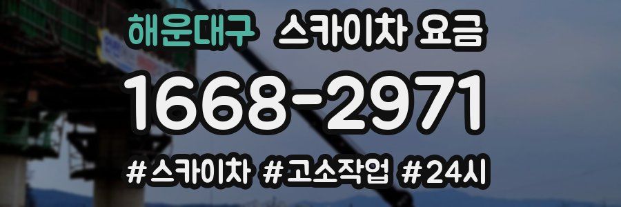 해운대구 스카이차 요금