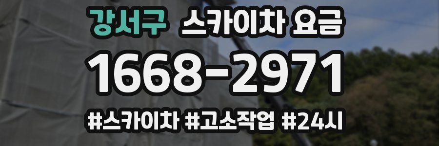 강서구 스카이차 요금