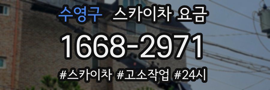 수영구 스카이차 요금