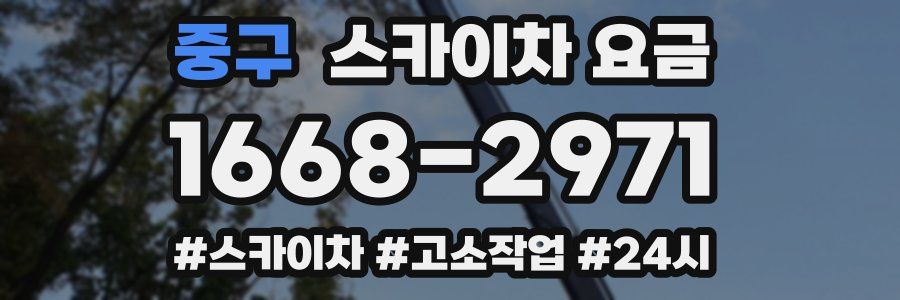 중구 스카이차 요금