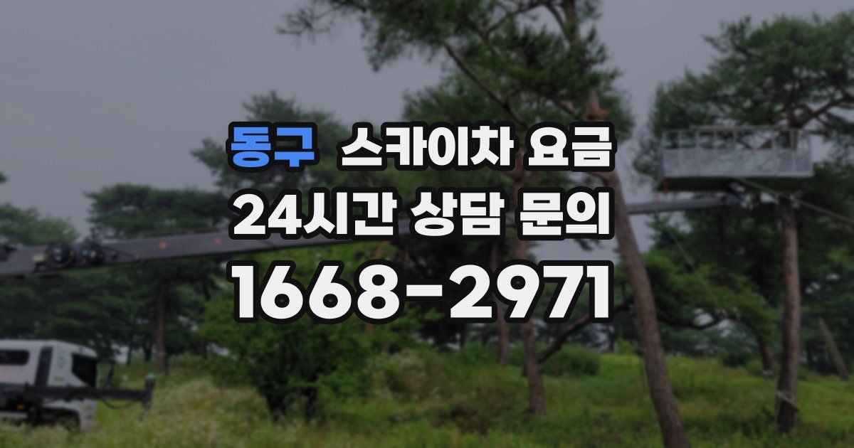 동구 스카이차 요금