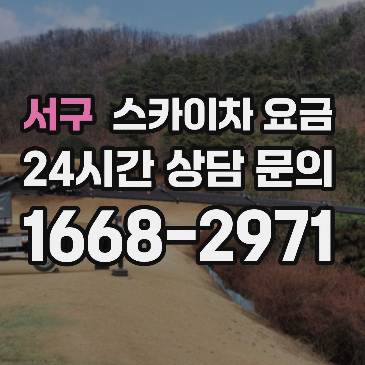 서구 스카이차 요금