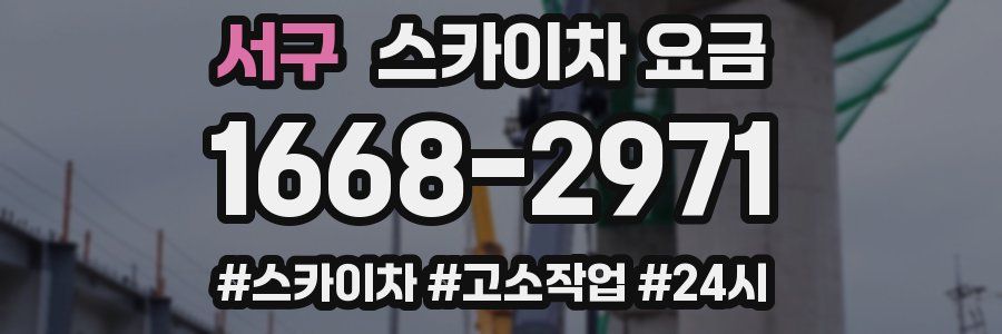 서구 스카이차 요금