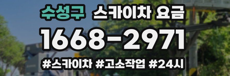 수성구 스카이차 요금