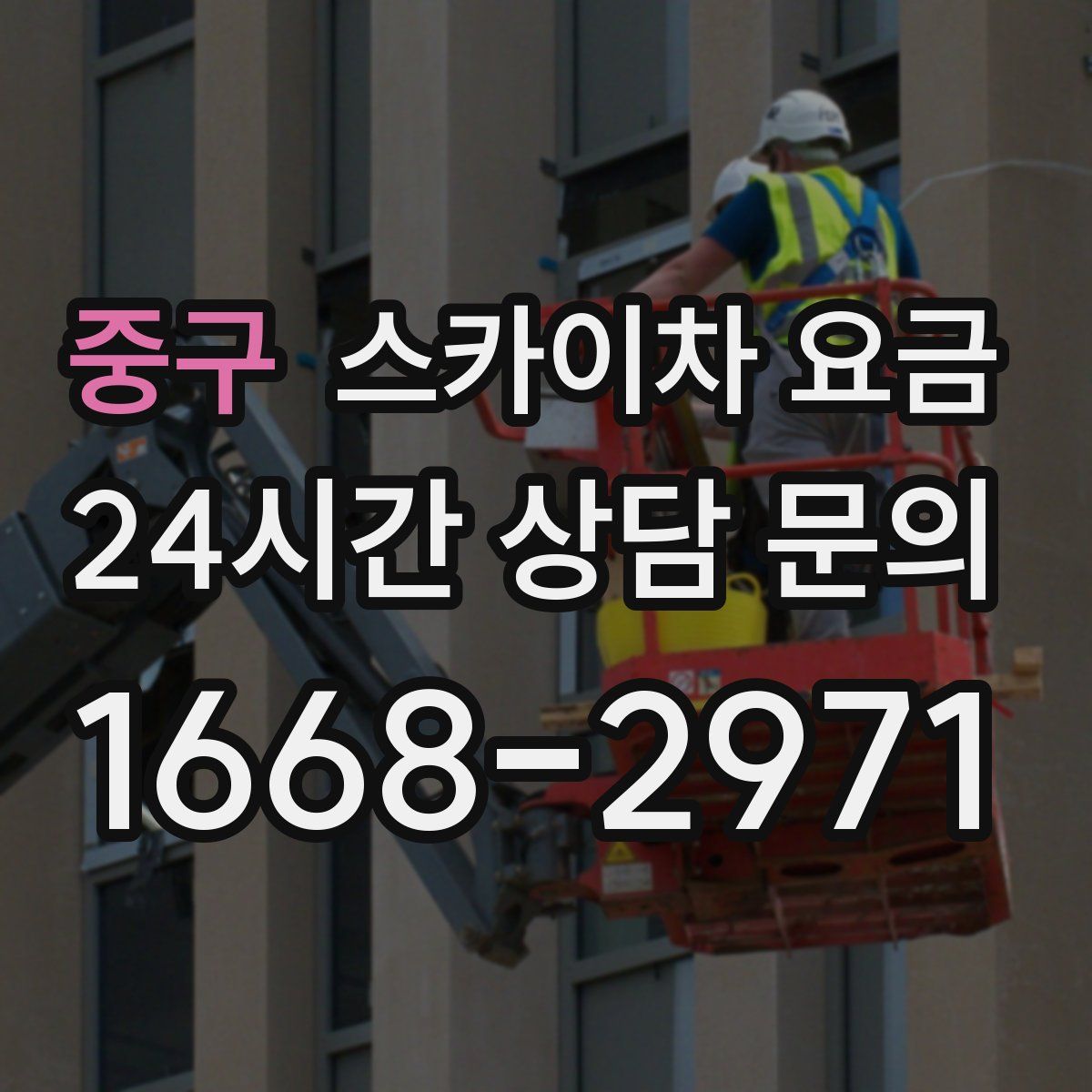 중구 스카이차 요금