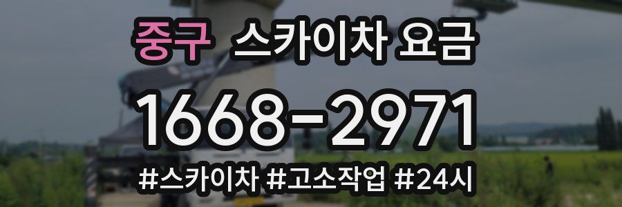 중구 스카이차 요금