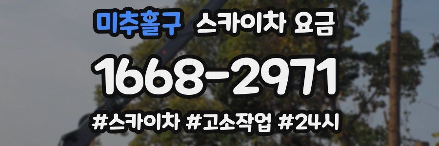 미추홀구 스카이차 요금